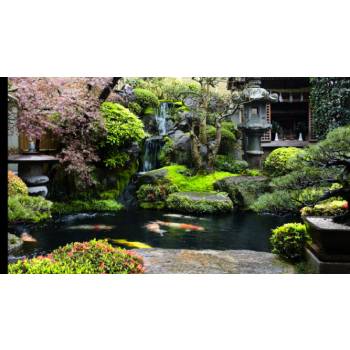 Jardim Com Lago Ornamental