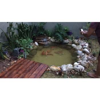 Lago Ornamental Pequeno Com Cascata